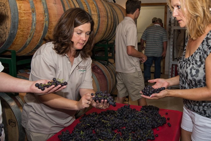 Picture of Lisa the head wine maker and others sorting grapes just brought in from harvest.